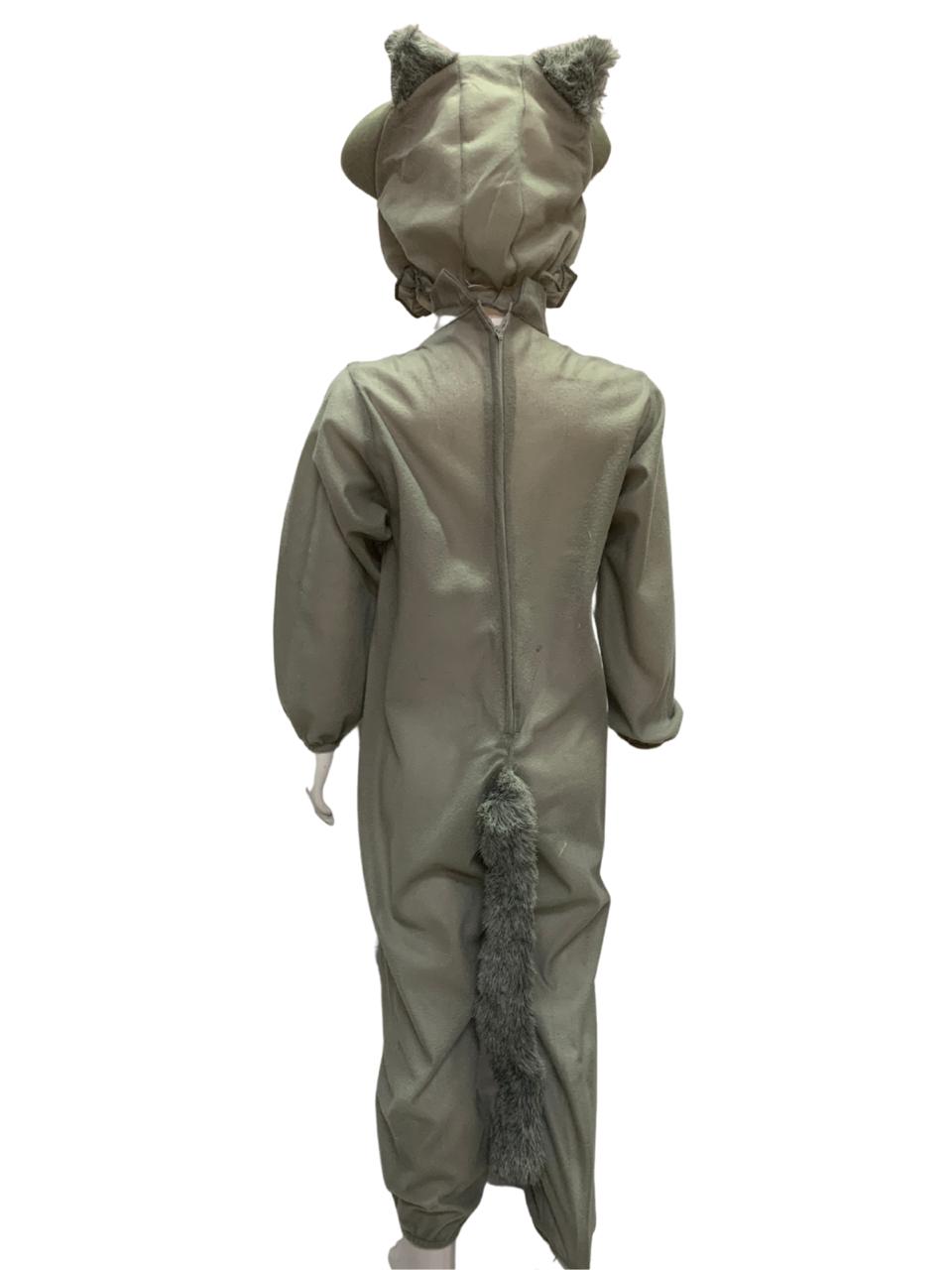 Disfraz Mapache Niños.