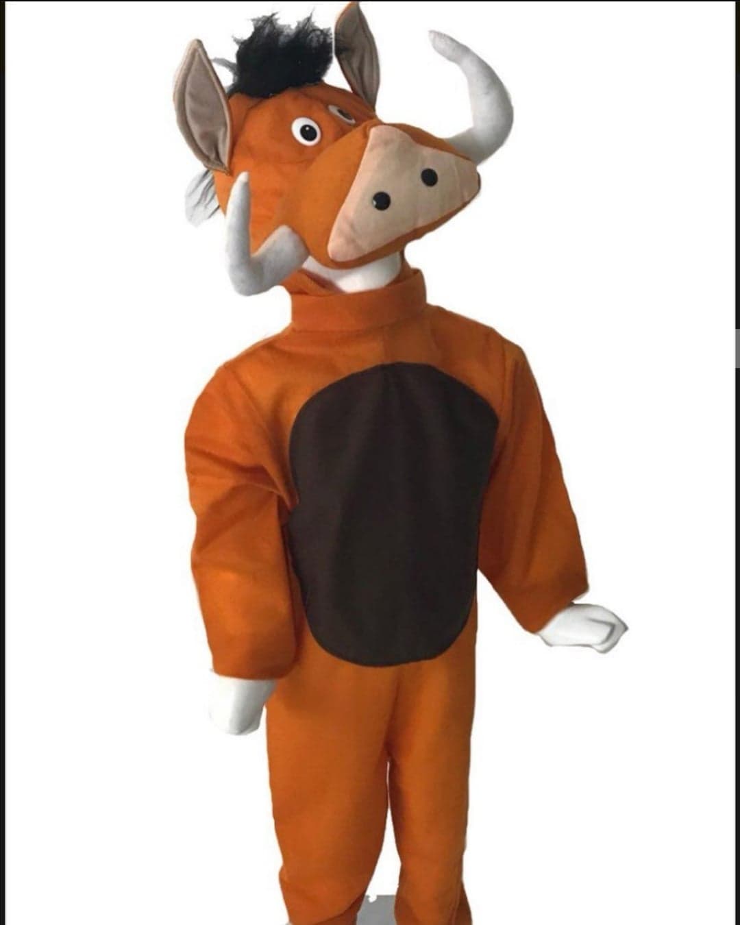 Disfraz Jabalí Niños.